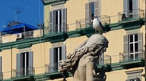 Фонтан русалки Партенопэ в городе Неаполь