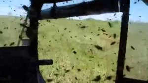 "Мушки" в Сибири