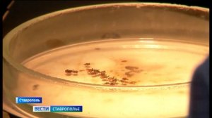 Клещи проснулись и начали кусаться