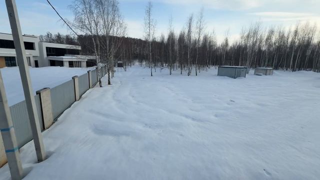 Алабай и немецкая овчарка  Обзор нашего участка