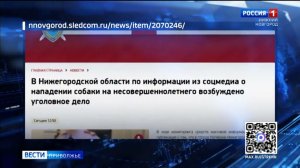 Собака напала на ребенка в Кулебаках