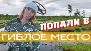 ИСЧЕЗНУВШАЯ ЖИЗНЬ ☾☼ Забытая деревня среди болот