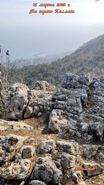 15 марта 2026 г. На тропе Палласа #ялта #ялта2026 #тропапалласа #никитскаярасселина