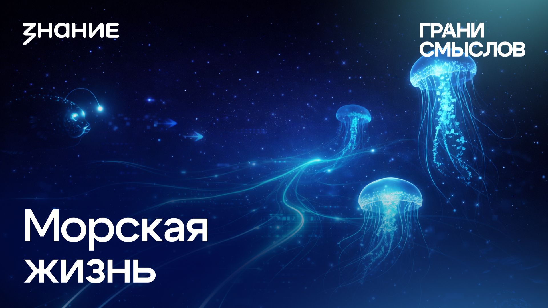 Грани смыслов | Ольга Сазонова | Морская жизнь