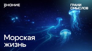 Грани смыслов | Ольга Сазонова | Морская жизнь