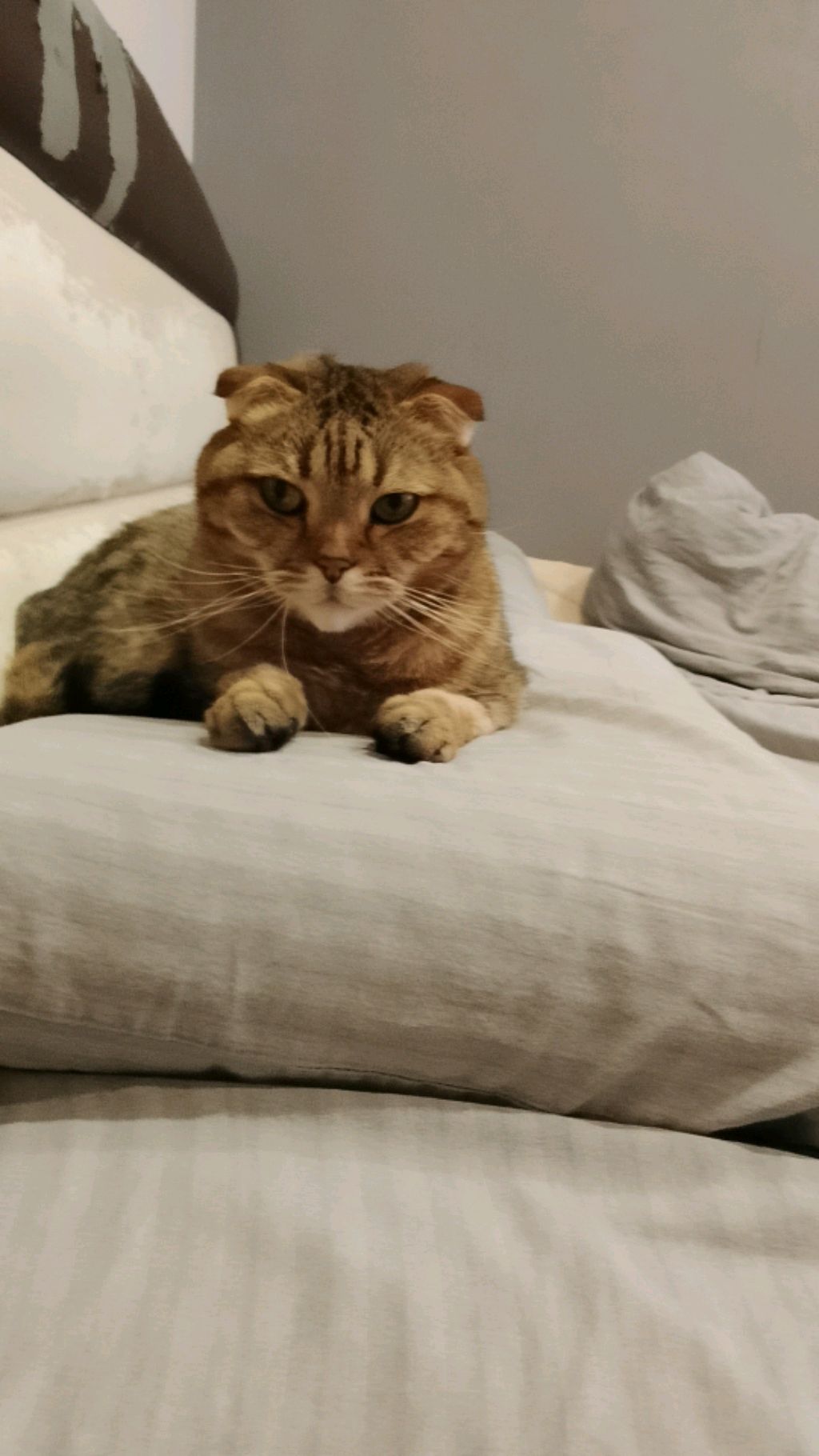 проверяем ноутбук с клубоя