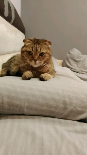 проверяем ноутбук с клубоя