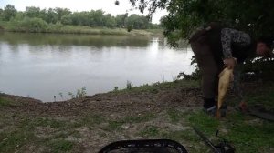 СОМ И САЗАН НА ДОНКИ С БЕРЕГА! Рыбалка в Астрахани 2025