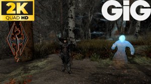 SKYRIM AE с модами #77 - Забытая долина