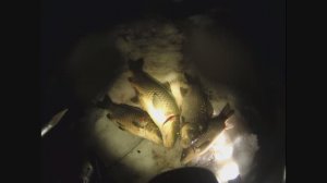 Подводная охота теплой весной на Калининской АЭС.