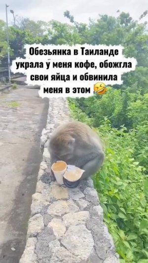 Видео от Департамент Вирусного Контента | ДВК