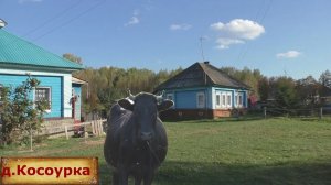 Тихая и уютная деревня. Здесь было несколько деревень. Заброшенный магазин. Царская постройка.