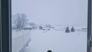 АМЕРИКА / Сельчанка в Америке / Запретили выезжать из дома