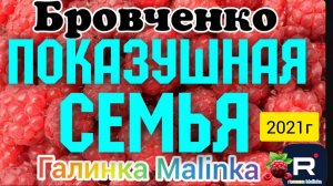 Семья Бровченко _Показушная семья _Обзор Влогов _