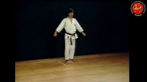 23 - Ката Унсу (Unsu) Шотокан Каратэ
