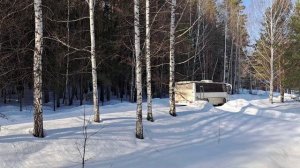 Заказные автобусы