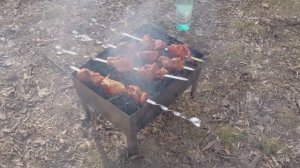 Сдача документов на паспорт в мфц.Купили мангал, угли,мясо готовое.Погода хорошая.Всё с Магнита.