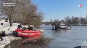 Тело пропавшей в Звенигороде девочки найдено