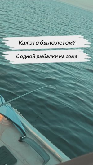 Сом взял наживку! 🎣 Рыбалка с лодки на Каме | Пермский край
