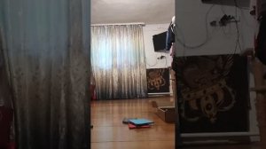 первая трансляция