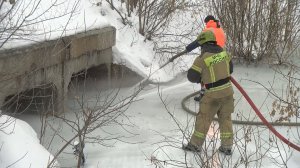 Время местное. Эфир: 17-03-2026 - Подготовка к паводку