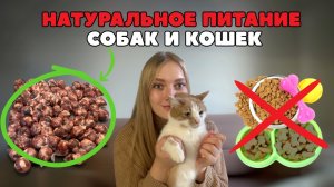 ЛУЧШАЯ еда для собак и кошек! БЮДЖЕТНО и ПОЛЕЗНО! Натуральное питание собак и кошек - BARF