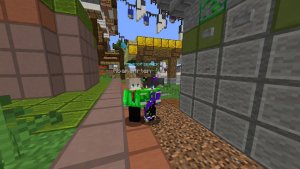 ИГРАЮ В БЕДВАРС + АРТЁМ