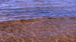 КАК ЖАЛЬ... (WHAT A PITY) Сергей Литвяков. Премьера клипа.