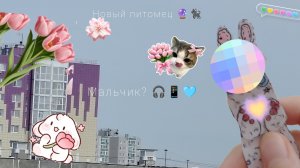 {~°новый петомиц???мальчик °~}🎧🐈⬛🔮📱🩵