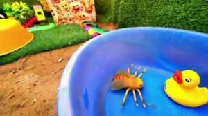 Маленькие рыбки