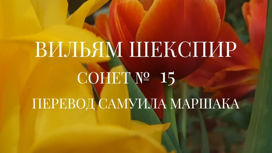 Вильям Шекспир. Сонет № 15. Пер. Самуила Яковлевича Маршака ( Когда подумаю, что миг единый )