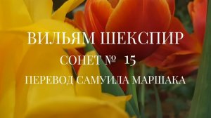 Вильям Шекспир. Сонет № 15. Пер. Самуила Яковлевича Маршака ( Когда подумаю, что миг единый )