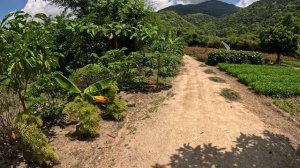 Морская прогулка к островам в Нячанге