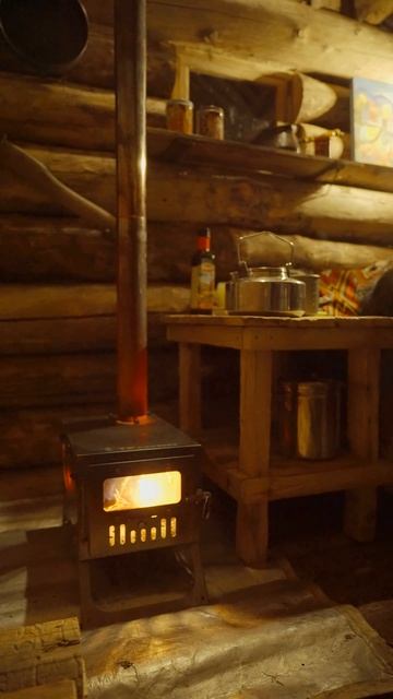 ЖИВУ В ДОМИКЕ В ДИКОМ ЛЕСУ, НАЕДИНЕ С ПРИРОДОЙ С СОБАКОЙ И КОТОМ