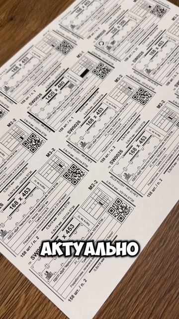 Базис Бирка 24 новый курс обучения