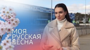 Моя русская весна. Воспоминания о событиях 2014 года в Крыму и Севастополе. Эльвина Зарипова