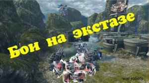 War Robots СтРАнНАЯ СЫКУЛЯ