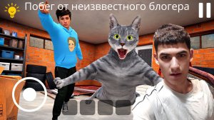 побег от блогера (холли бам)