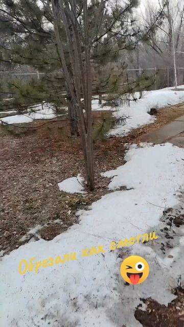 2026-03-17-191259049