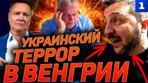 Украинский террор в Венгрии