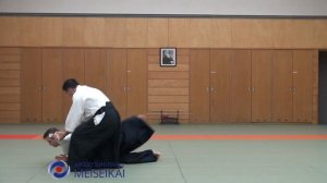2.Aikido Katadorimenuchi Ikkyo Omote 2 Shishiya Sensei Tokyo 2015