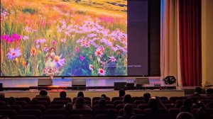 " Задоринка"