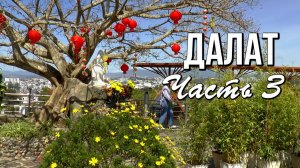 Из Нячанга в Далат,часть 3: смотровая площадка, стеклянный мост и парк «Мир чудес»