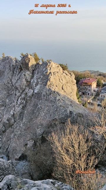 15 марта 2026 г. Никитская расселина #ялта #ялта2026 #никитскаярасселина