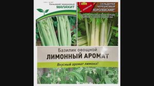 Сельдерей черешковый Малахит, черешково-листовой Королевский. Базилик  Лимонный Аромат. Посев