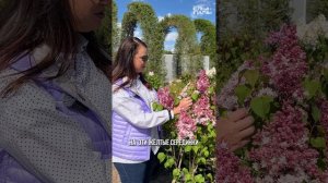 Сирень обыкновенная `Федерико Гарсия Лорка`® РС