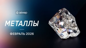 Металлы. Февраль 2026