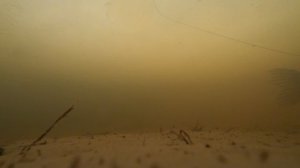 Щука на живца.