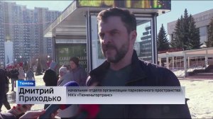 Умные остановки и парковки Тюмени оснастили бесплатным Wi-Fi