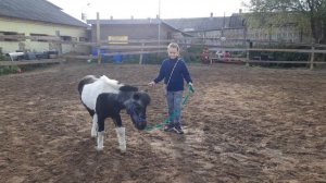 Это я первый раз гуляю с Пъезой